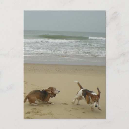 Spaß am Strand Postkarte (Vorderseite)