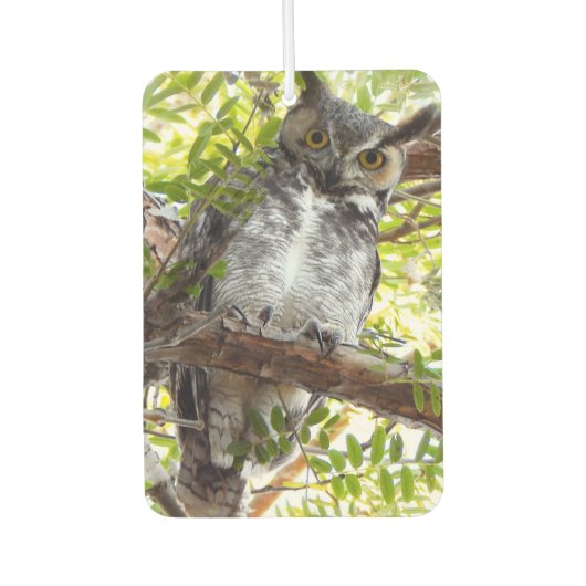 Spaß beim Anschauen Autolufterfrischer (Vorderseite)