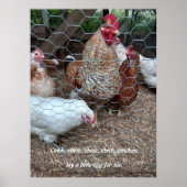 Spaß beim Küken Poster (Vorne)