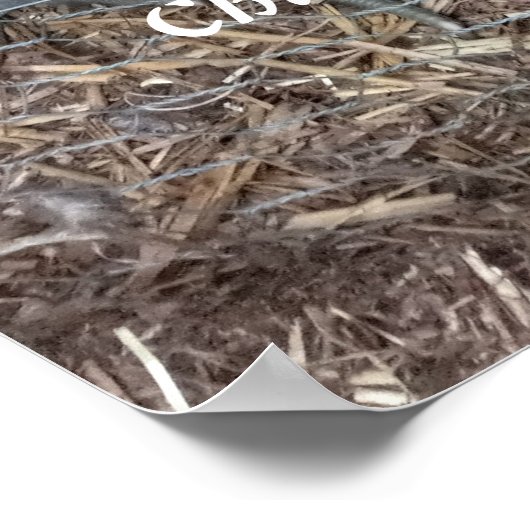 Spaß beim Küken Poster (Ecke)