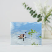 Spaß beim Schwimmen Postkarte (Stehend Vorderseite)