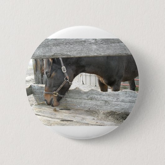 Spaß Button (Vorderseite)