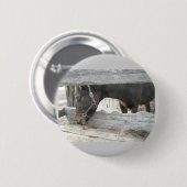 Spaß Button (Vorne & Hinten)