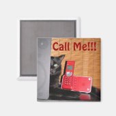Spaß Cat Magnet! Magnet (Vorderseite/Rückseite)