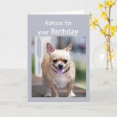 Spaß Chihuahua zu viel Geburtstagskuchen Karte (Gelbe Blume)