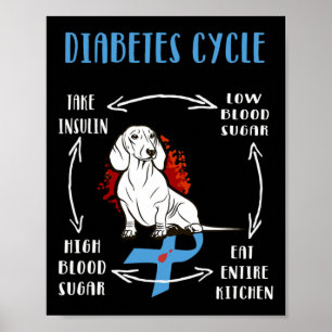 Spaß Dackel Diabetischer Lebenszyklus Diabetes Awa Poster