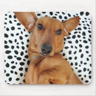 Spaß-Dackel Mousepad