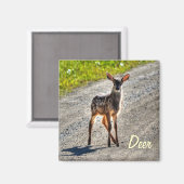 Spaß Design für das Kind in uns allen! Magnet (Vorderseite/Rückseite)