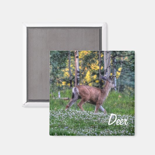 Spaß Design für das Kind in uns allen! Magnet (Vorderseite/Rückseite)