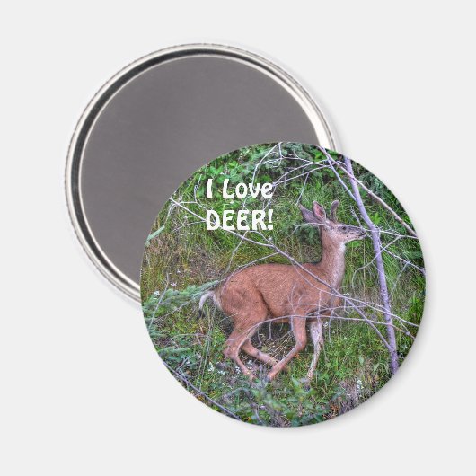 Spaß Design für das Kind in uns allen! Magnet (Vorderseite/Rückseite)