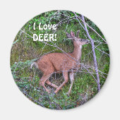 Spaß Design für das Kind in uns allen! Magnet (Vorne)