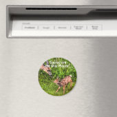 Spaß Design für das Kind in uns allen! Magnet (In Situ (Geschirrspüler))