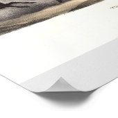 Spaß eines Auslandskurses Vintag Poster (Ecke)