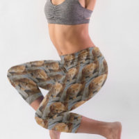 Spaß Erstellen benutzerdefinierter Fotosammlungs-F