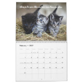 Spaß Fakten Katzenkalender Kalender (Feb 2027)