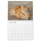 Spaß Fakten Katzenkalender Kalender (Jan 2027)