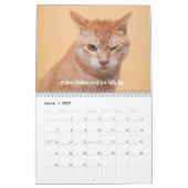 Spaß Fakten Katzenkalender Kalender (Mär 2027)