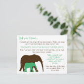 Spaß Fakten über Elefanten Postkarte (Stehend Vorderseite)