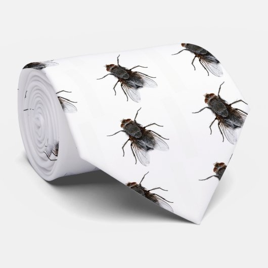 Spaß-Fliegen-Neuheits-Krawatte Krawatte (Gerollt)