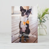 Spaß frohe Weihnachten Foto Weihnachtsfeiertag (Stehend Vorderseite)