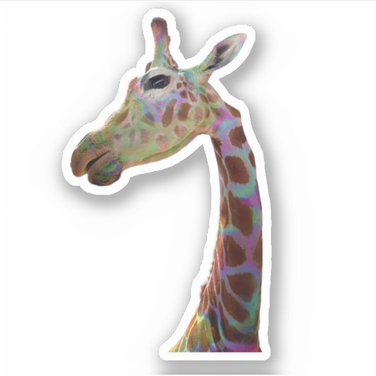 Spaß funky bunt Giraffe Baby Dusche danke Ihnen Aufkleber (Vorderseite)