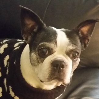 Spaß für Christliche Kinder Bibelpuzzles Puzzle