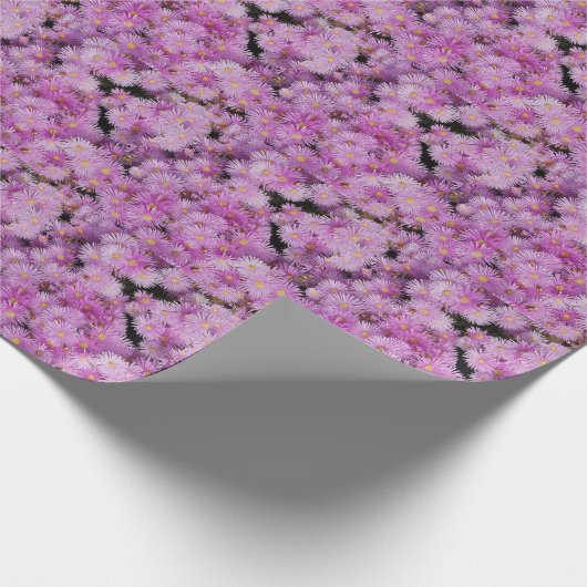 SPASS GESCHENKPAPIER (Ecke)