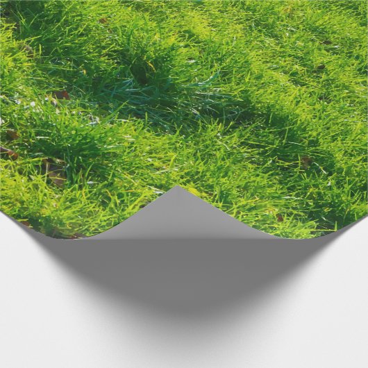 Spaß-grünes Gras-Druck-Packpapier Geschenkpapier (Ecke)