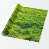 Spaß-grünes Gras-Druck-Packpapier Geschenkpapier (Ungerollt)