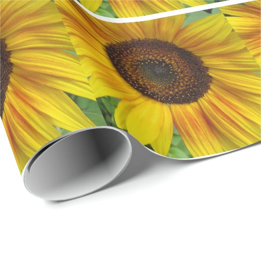 Spaß-helles Sonnenblume-Packpapier Geschenkpapier (Rolleneckpunkt)