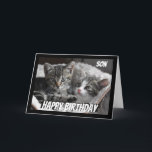 Spaß Herz zu Herz Son Birthday Katze Tier Karte<br><div class="desc">Wenn Sie Katzen oder Tiere Liebe,  diese Karte bringt ein Lächeln auf Ihr Gesicht Perfect for the Son,  der Katzen Liebe. Wir sehen vielleicht nicht immer Auge,  sondern immer Herz zu Herz</div>