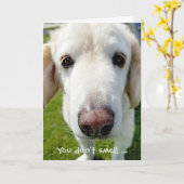 Spaß-Hund-Nase zum Geburtstag Karte (Gelbe Blume)