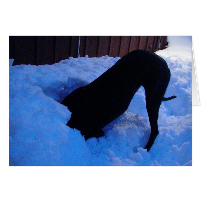 Spaß im Schnee (Vorderseite (Horizontal))