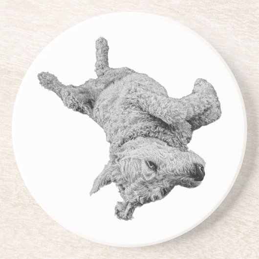 Spaß in der Erholung Getränkeuntersetzer (Vorne)