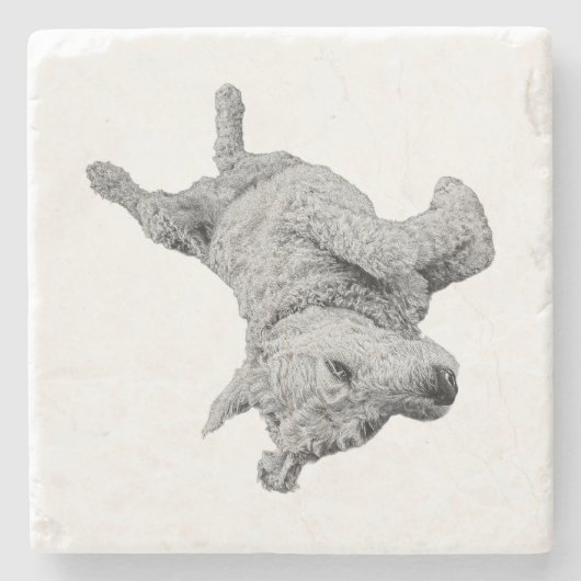 Spaß in der Erholung Steinuntersetzer (Vorderseite)