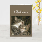 Spaß Jubiläum Katzen Liebe Sie Behalte Karte (Gelbe Blume)