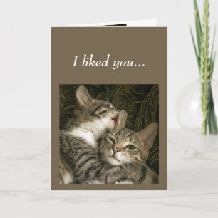 Spaß Jubiläum Katzen Liebe Sie Behalte Karte