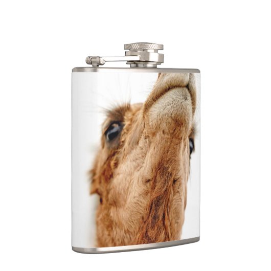 Spaß-Kamel-Foto-Flasche Flachmann (Rechts)