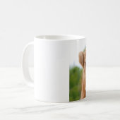 Spaß-Kamel-Tasse: Hassen Sie mich nicht, weil ich Kaffeetasse (Vorderseite Links)