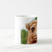 Spaß-Kamel-Tasse: Hassen Sie mich nicht, weil ich Kaffeetasse (Mittel)