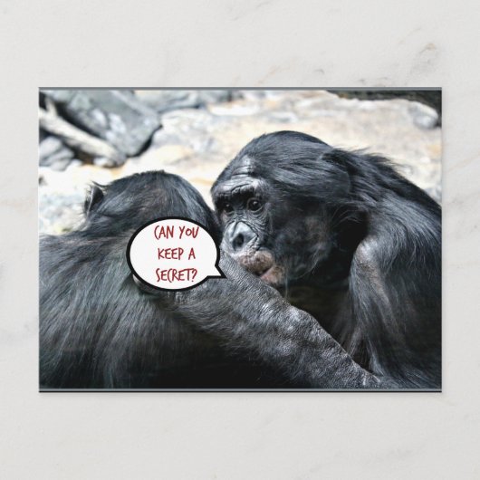 Spaß - Kannst du ein Geheimnis behalten haben? Postkarte (Vorderseite)