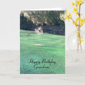 Spaß, Manatee, Vogel, Schmetterling, Grandson zum  Karte (Gelbe Blume)