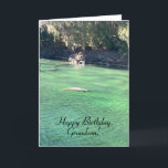 Spaß, Manatee, Vogel, Schmetterling, Grandson zum  Karte<br><div class="desc">Dies ist eine einzigartige Geburtstagskarte für einen Enkel,  der die Natur Lieben. Es hat Manatee,  Vogel- und Schmetterlingsbilder. Spaß,  bunte und fröhliche Geburtstagskarte für einen ganz besonderen Enkel.</div>