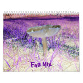 Spaß Mischung-Multi-Entwurf-Kalender Kalender (Titelbild)