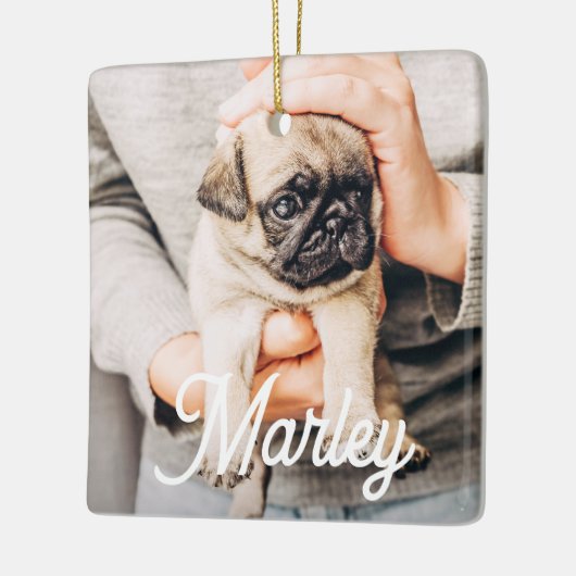 Spaß Modernes, benutzerdefiniertes Foto für Hausti Keramikornament (Links)