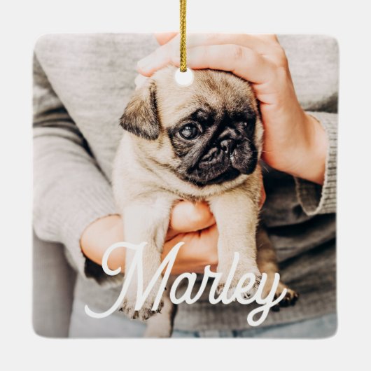 Spaß Modernes, benutzerdefiniertes Foto für Hausti Keramikornament (Rückseite)