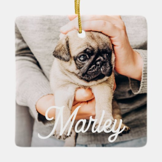 Spaß Modernes, benutzerdefiniertes Foto für Hausti Keramikornament (Vorderseite)