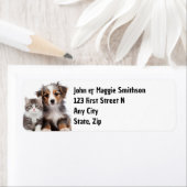 Spaß Niedliche Katzen Hunde Tiere (Insitu)