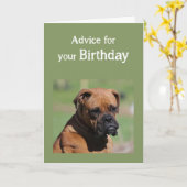 Spaß Niedlicher Hund Älterer muss weiser sein Karte (Gelbe Blume)