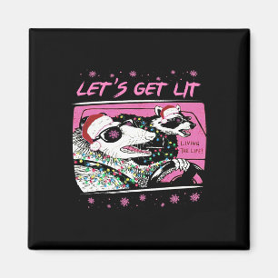 Spaß Opossum Waschbär Lass uns Müll Straße Pink Ch Magnet